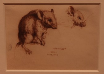 William Mulready: Studies of a Mouse